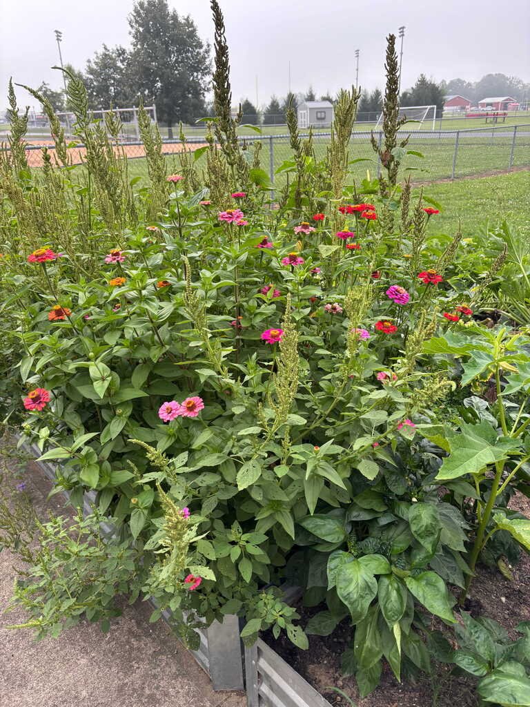 westfalles's tweet photo. Thank you to all of our amazing volunteers who helped water, weed, and care for our community garden during the summer months. Thanks to their hard work, we harvested twice, donated fresh produce to Westfall Cares, and kept our garden thriving! https://t.co/kFEBjQaUQK