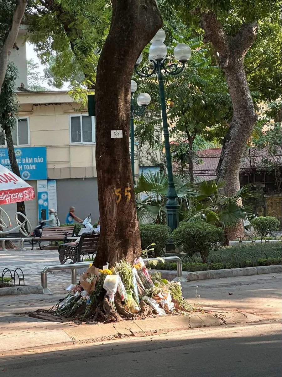 _Yotsuto_'s tweet photo. A rare 🌷 protest happened in Hanoi.

Young people are protesting against the husband of a minister  who caused a deathly traffic accident last year. The victim  was 17 year old girl who died one week later.

The regime uses the same tactic it used to defeat the 🇺🇸 🇫🇷 ,...👇🏻 https://t.co/E6eMYH2MfA