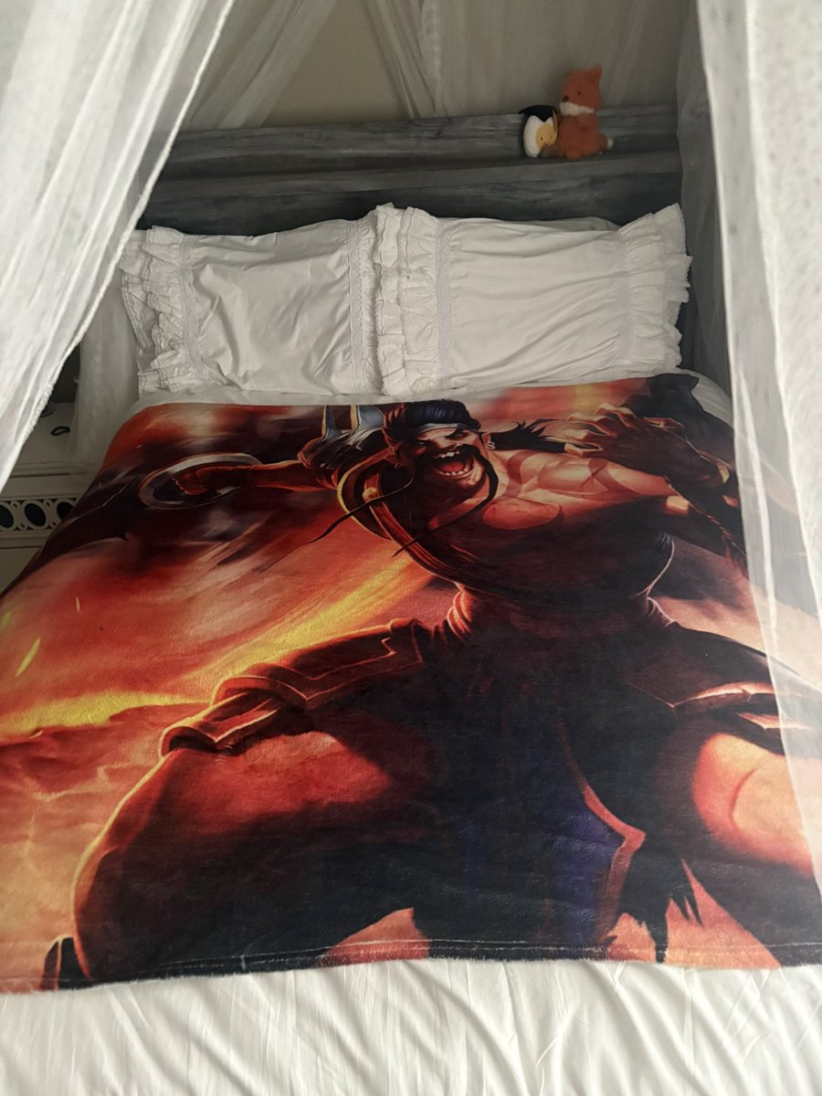 flibbier's tweet photo. The perfect bed. https://t.co/ju12bUXXZq