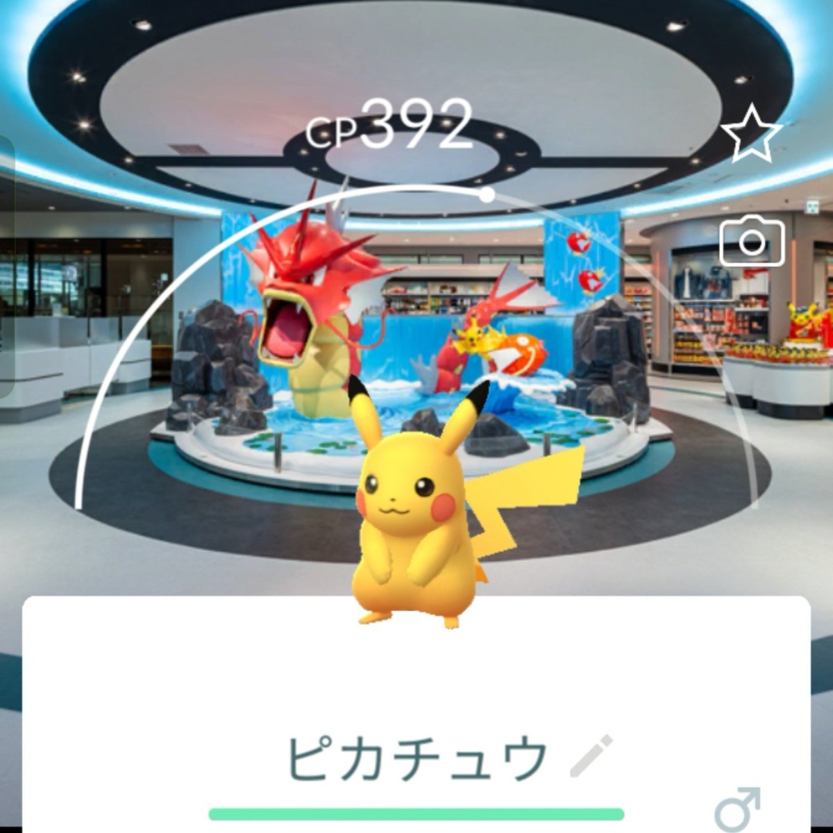 Mgj2Vea's tweet photo. #ポケモンセンター広島　行ってきました。
限定、ピカチュウもGET‼️

広島県「ぽけポケふた」無いんだ!!
スタンプラリー全制覇したいですねー😂😂😂なかなか難しい…
　
明日は　#コミュニティデイ「#クスネ」沢山捕まえてTL70 を目標に✨レイドバトルも参戦出来る時は入ります。 https://t.co/zdJXmg3LEw