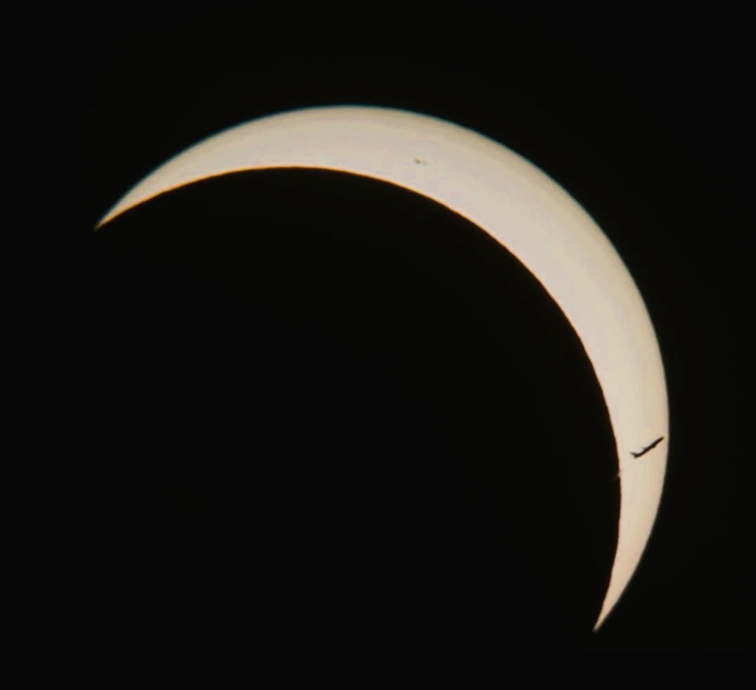 Lobo_Lobazo's tweet photo. Viendo el eclipse con telescopio justo se nos cruzó un avioncito https://t.co/6DQP2LpkAG
