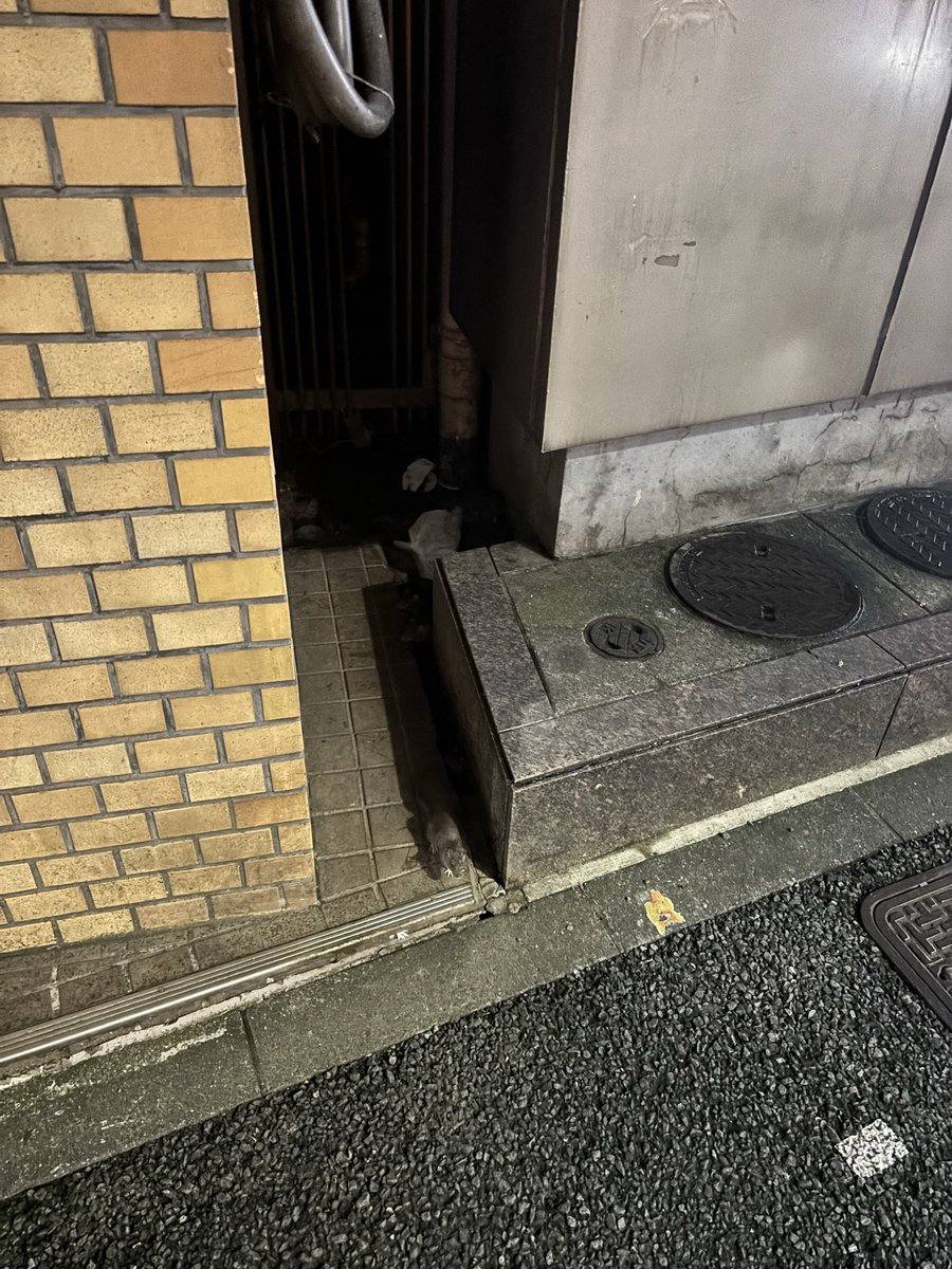 makotea1111's tweet photo. これが新宿なんよ https://t.co/9p1GsqKGGQ