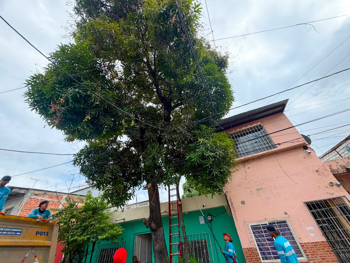 parquesgye's tweet photo. Nuestros equipos realizaron jornadas de control de maleza, poda, limpieza y desalojo en:

📍 Los Esteros
📍 Av. Víctor Emilio Estrada
📍 Cristo del Consuelo

Cada intervención responde a las necesidades de cada sector y permite mantener nuestros espacios públicos en mejores condiciones.
#AsiSeHaceGuayaquil #AquiEstamos #GuayaquilNoSeDetiene #CiudadDeTodos
@alcaldiagye @taticoronelf