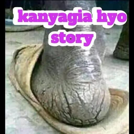 musundip's tweet photo. @Dennis_Itumbi02 https://t.co/8X2qTPDQyJ