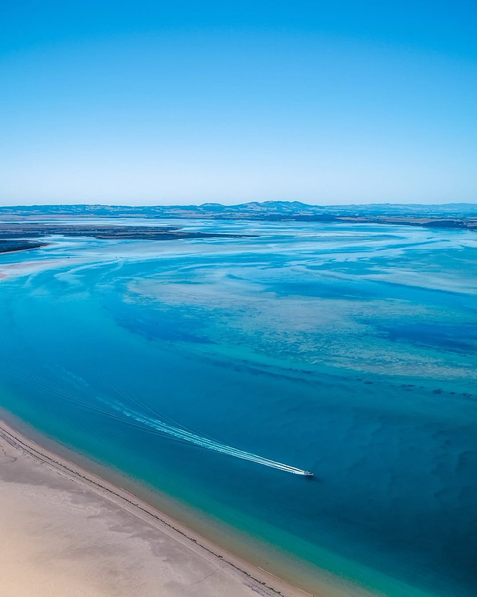 flower6260's tweet photo. Sandy point, Victoria https://t.co/8JemiHiOp0