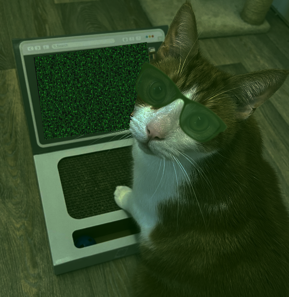trackingvoid's tweet photo. @FrankieDoode an elite hacker... https://t.co/r4UkTm77b4