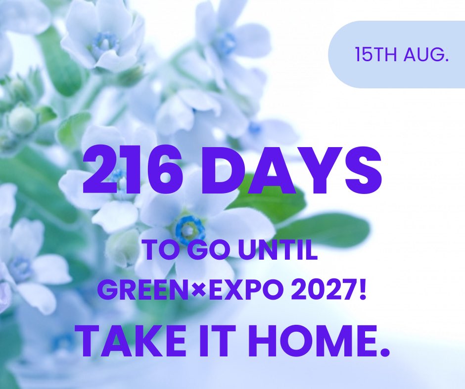 yページ(6月7日までお取置き可能) 🌸216 Days to Go! Take It Home. 