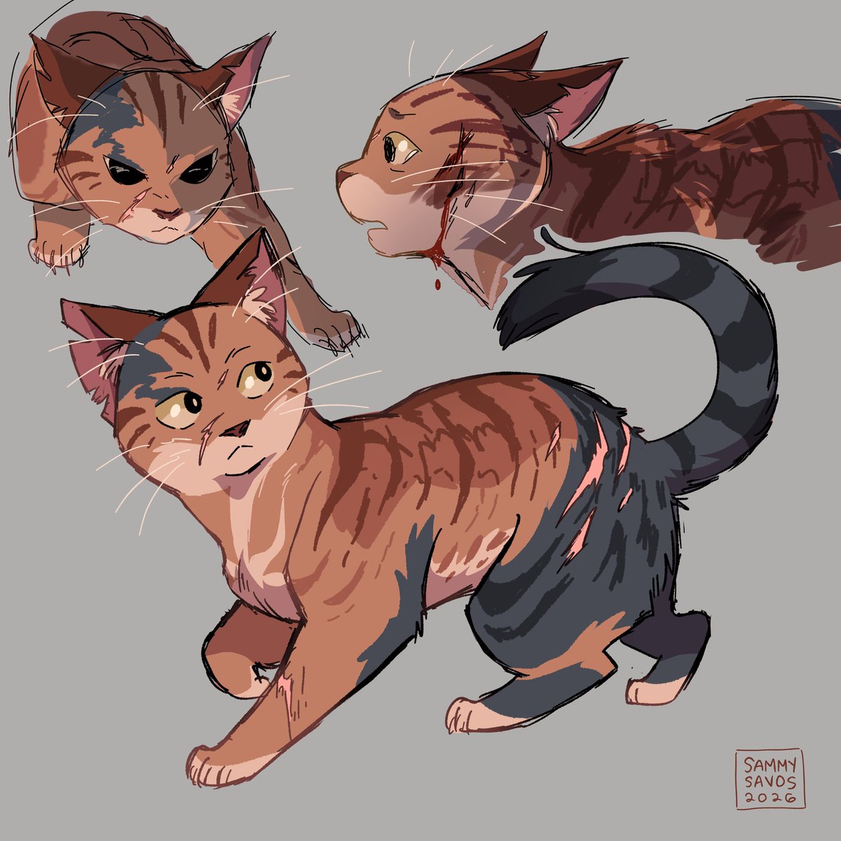 sammysavos's tweet photo. #spidermanbrandnewday BUT in the warrior cats world🕷️🐈 https://t.co/MIWDKWTHyh
