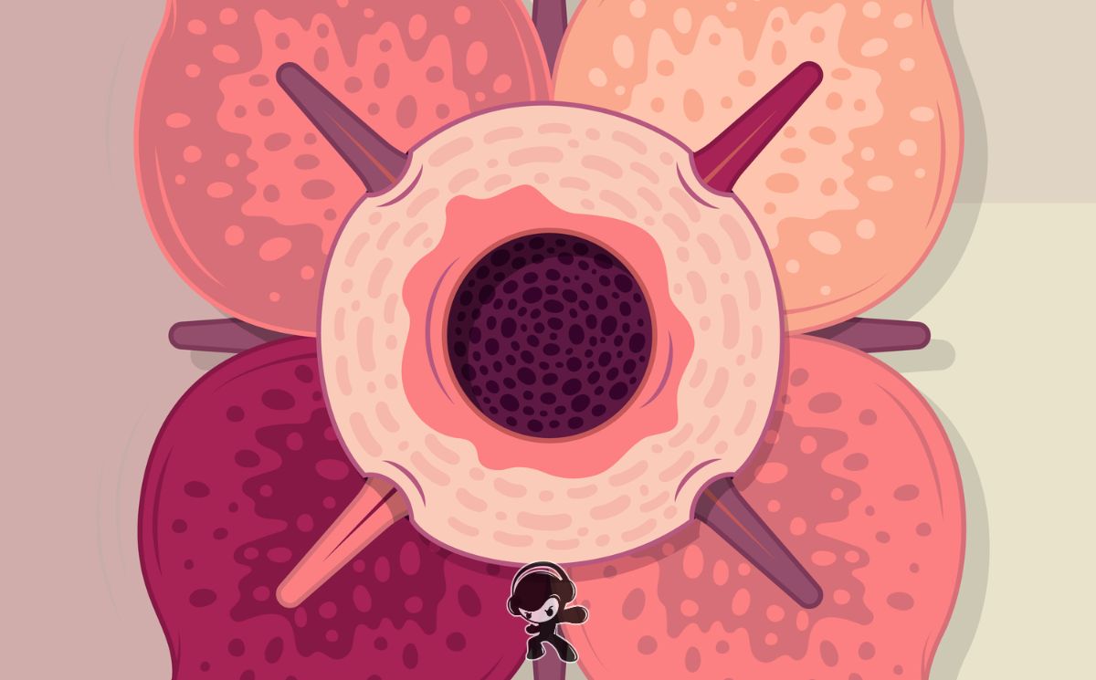 ExpansionRadial's tweet photo. Awaywhere presenta New Misty Morning, un recorrido contemplativo por paisajes desconocidos, descubrimientos y nuevos espacios por habitar.
https://t.co/QDeD995YW4

#Awaywhere #NewMistyMorning #IndiePop #ExpandeTusSentidos https://t.co/twoQkvp4Fm