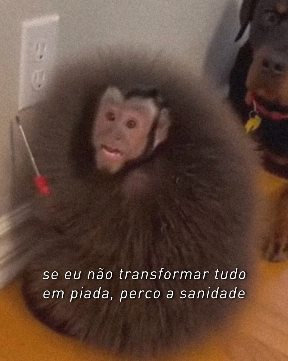 shitpostverdade's tweet photo. https://t.co/N4DK0Wpyrt