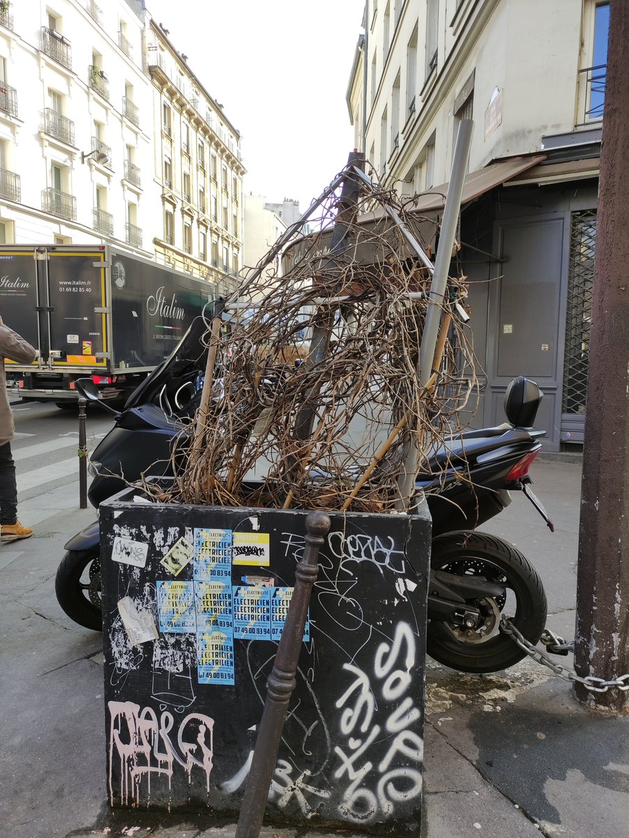 Will_Nicks_Off's tweet photo. Par chance, les Parisiennes et les Parisiens bénéficient des petites forêts urbaines de l'ère Hidalgo ("une baisse de 4 à 8 degrés") pour se prémunir contre la chaleur étouffante de cet été caniculaire. https://t.co/WdT7fQ8sRD
