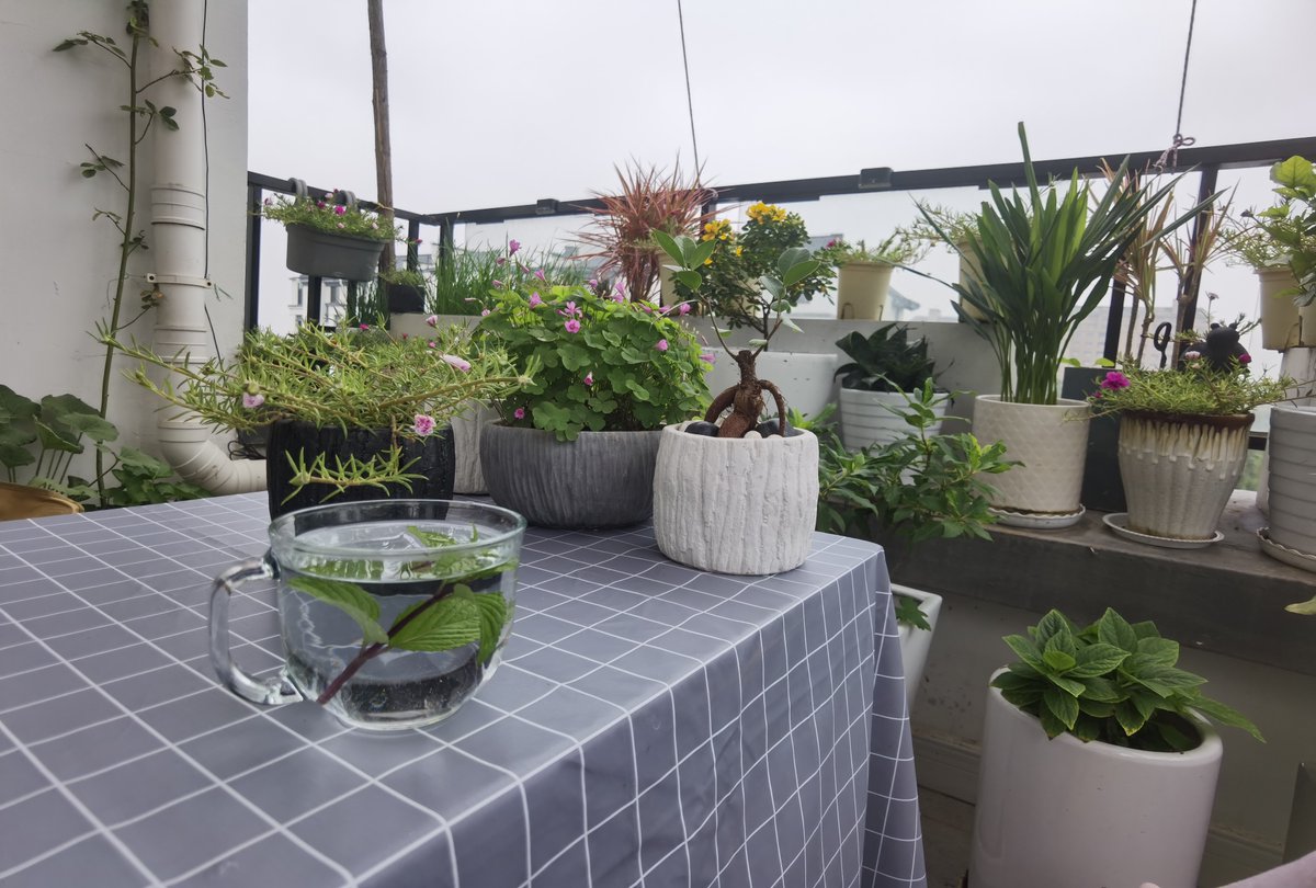 WildaMusch63j's tweet photo. Lazing on the balcony with cold lemon tea and my favorite playlist—this is exactly the slow cozy vibe I needed today.， https://t.co/hDOS1RPIXX