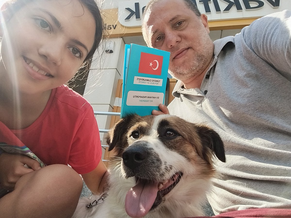 cenk_yigiter's tweet photo. Üzerime aldım Haşmet'i. Ne var ki sistem tam olarak hayvan düşmanı ve sokaktan hayvan sahiplenilmesini de istemiyor. Gittik Silifke Tarım Orman Müdürlüğü'ne tescil ve çip için, vay efendim bu 6 aylıktan büyük, 10 bin TL ceza ödeyeceksin. Neden? https://t.co/149SjmahL9