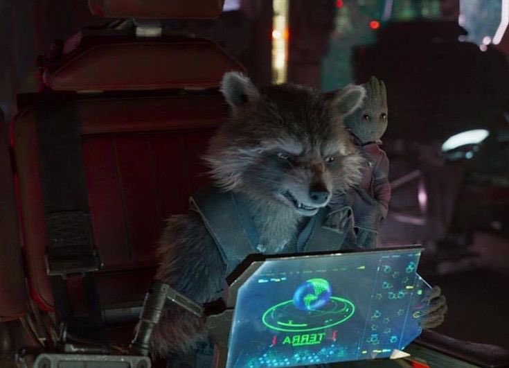 RainbowSteed's tweet photo. What do you think Rocket’s password is? https://t.co/qIFmsh5Klm