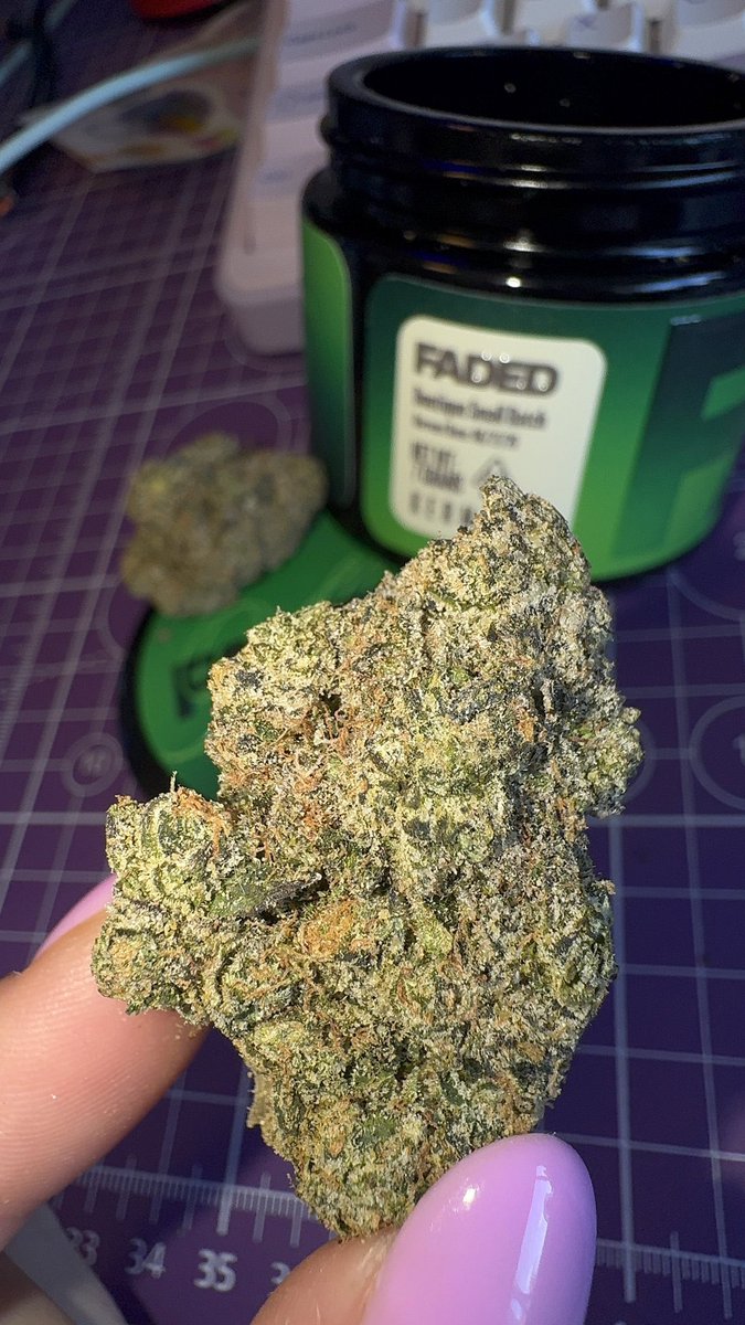 MillyNatas56's tweet photo. Who’s need some smoke ?
I’m mobile rn 

Mobile with it all day 
#weedtwt #drugtwt 
Who need some weed,wax,cart,vape and other stuff #dmvfreaks #dmvweed #dmvtops #dcfreaks
HMU 🤙 https://t.co/GNhyzQQ9J3