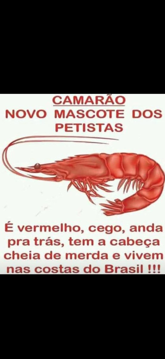 Andersonp7777's tweet photo. @pedrorousseff E verdade vc e um imbecil não tenho mas dúvidas https://t.co/UwzxVdVKg9