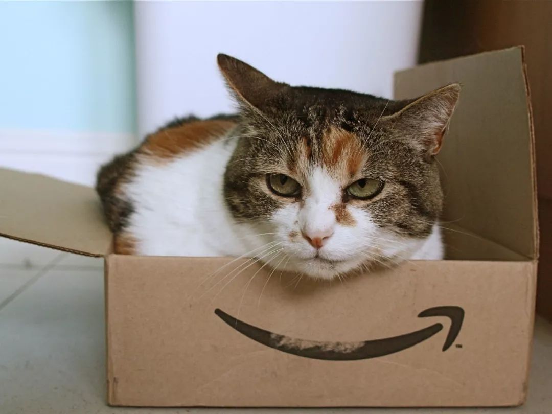 mdugutu's tweet photo. Just unboxed my long-awaited package! No hassle, perfect condition—today’s a win for small delivery wins ， https://t.co/Z4tiQmGotG