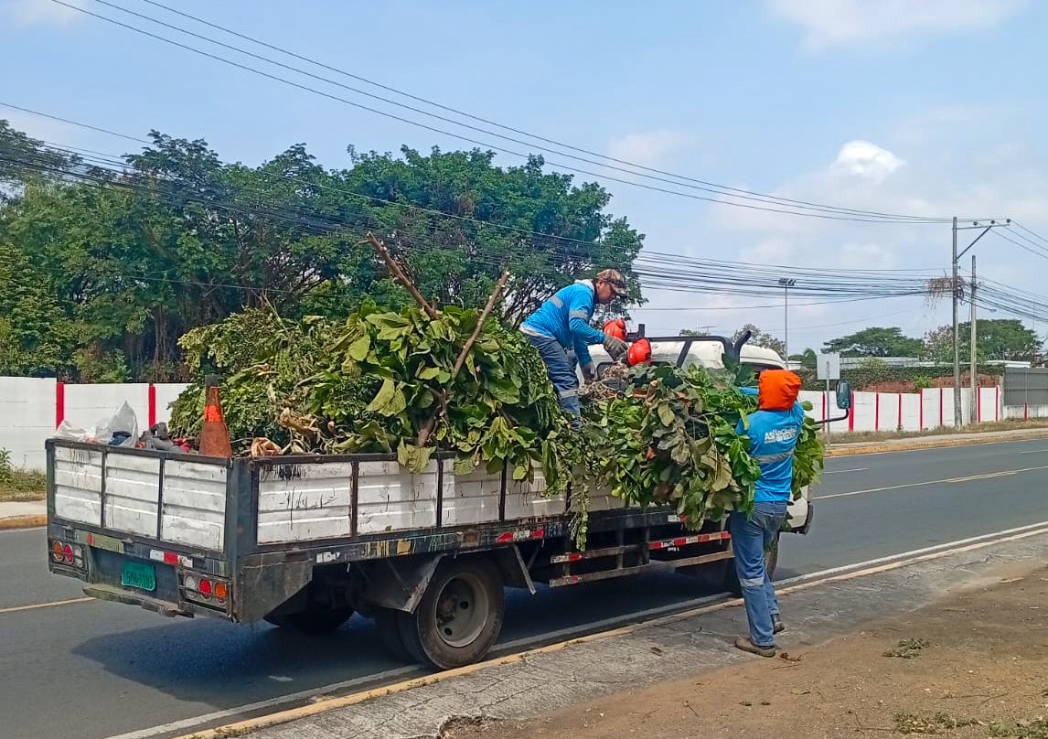 parquesgye's tweet photo. Seguimos sumando acciones en distintos puntos de Guayaquil.

En Samanes 1-2, Parque El Cigarro (Urdesa) y Vía a la Costa, realizamos trabajos de poda, control de maleza, limpieza y desalojo.

Espacios públicos que disfrutamos entre todos, también los cuidamos entre todos.

#AsiSeHaceGuayaquil #AquiEstamos #GuayaquilNoSeDetiene #CiudadDeTodos 
@alcaldiagye @taticoronelf