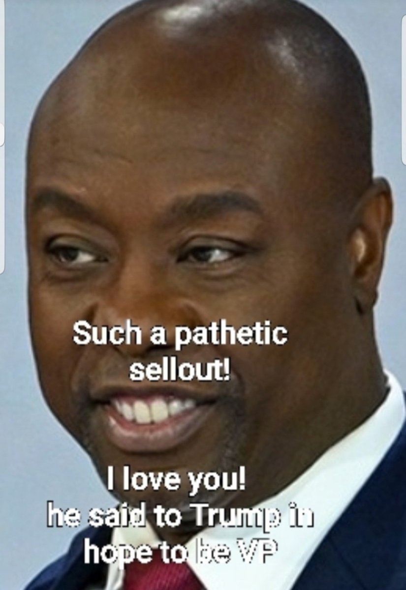 universenus's tweet photo. @RossKneeDeep "#BlacksforTrump 
#HispanicsforTrump 
#MuslimsforTrump 
#AsiansforTrump 
#SomaliansforTrump 
#HaitiansforTrump" 
If you still support this corrupt scumbag @realDonaldTrump you're the same corrupt scumbags as the #racist #Pedophile in chief @realDonaldTrump https://t.co/MOmas24RO2