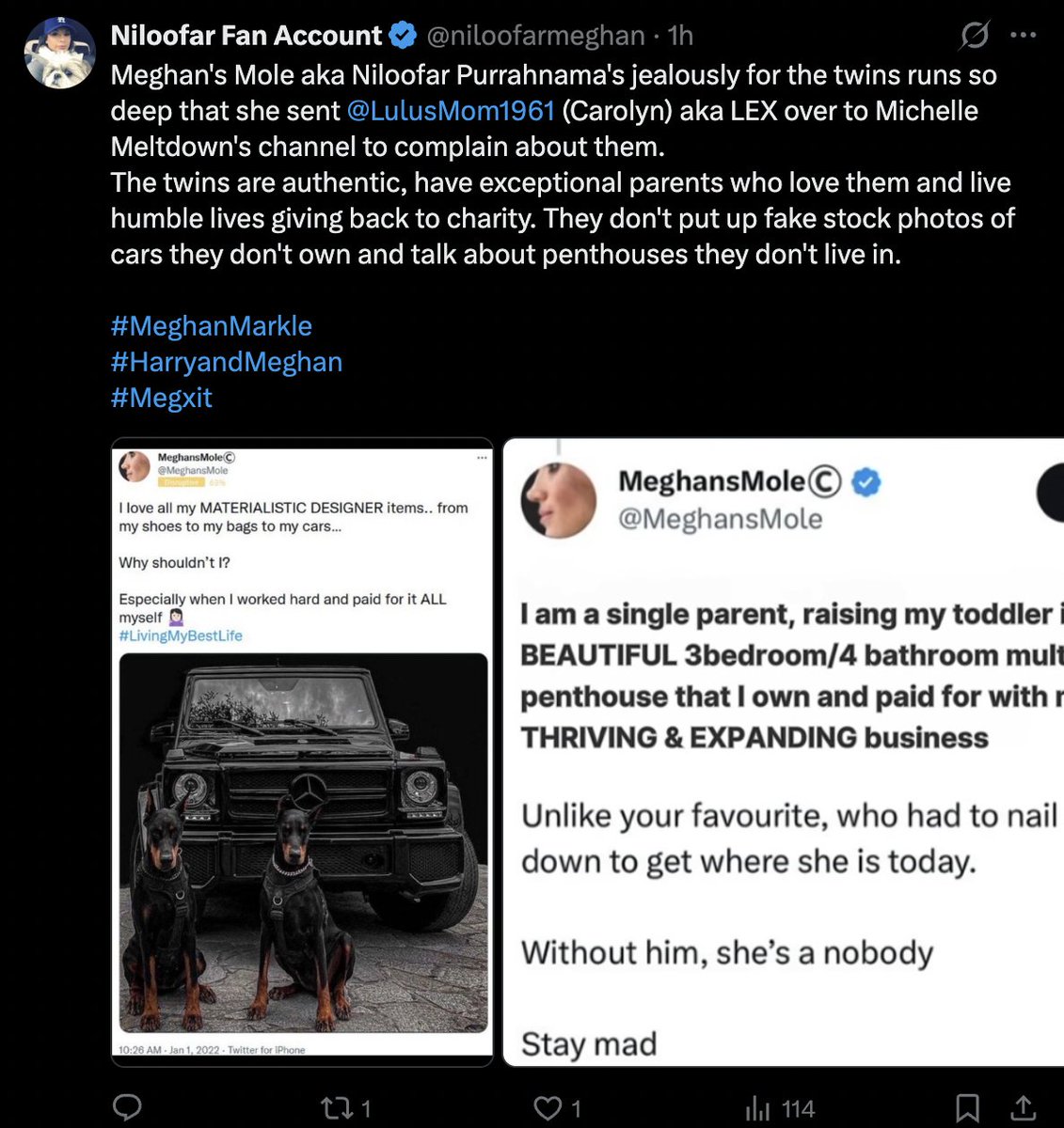 PrinceSpork's tweet photo. @livysmith99 @niloofarmeghan The Sidley Twins are pretty obviously running this account. No one else in Megxit or in Sussex Squad for that matter thinks Meghan's Mole or anyone else is jealous of the Sidley Twins except for the Sidley Twins. https://t.co/42PkOvasHK