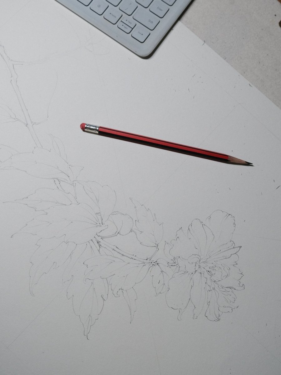 softasakaze's tweet photo. Why do I get more and more energetic when I get up to draw in the middle of the night? https://t.co/vclrl9pbXP