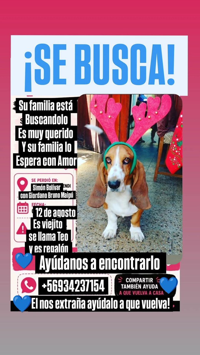 todopormiperro's tweet photo. https://t.co/cK20EZwspi