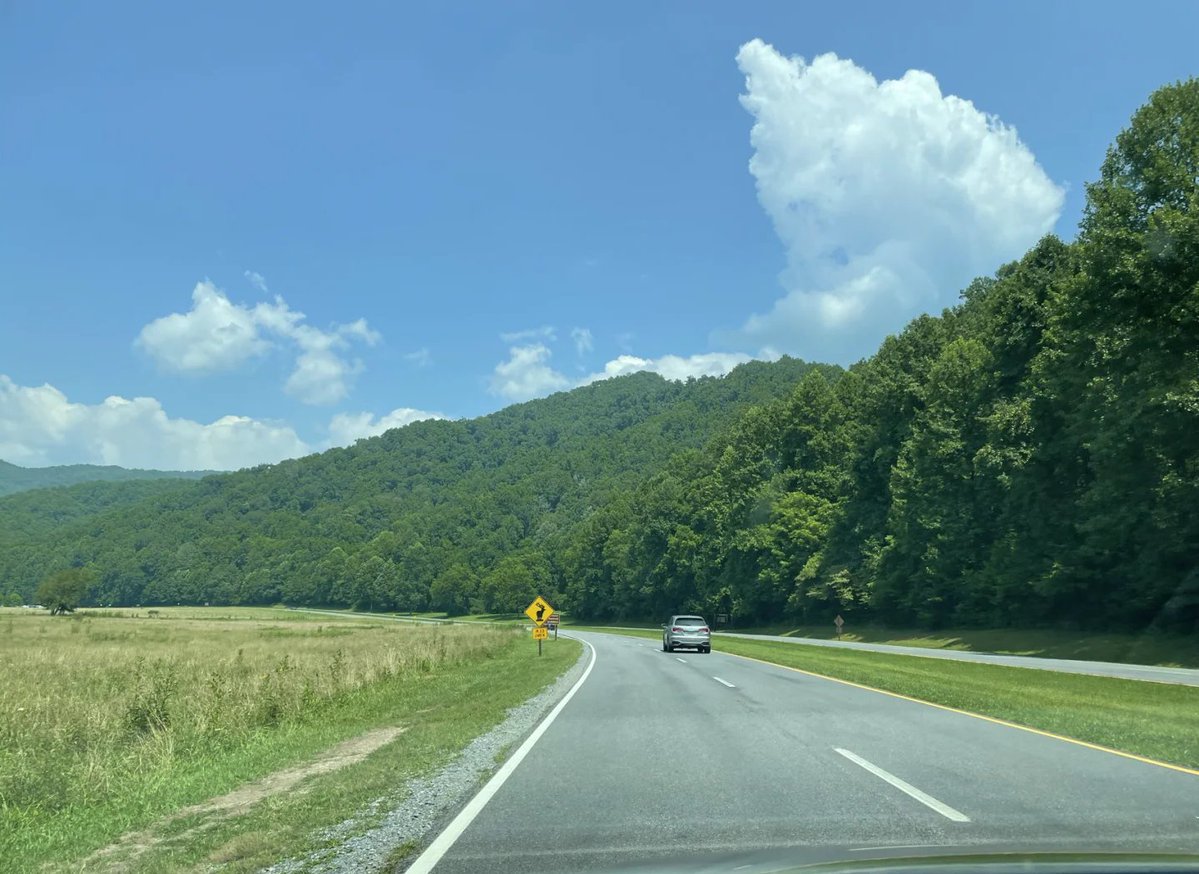 Shkoashiki's tweet photo. Just wrapped up a 3-day road trip through the Pacific Northwest – crystal-clear lakes, towering evergreens, and that fresh forest air that makes the drive worth every mile. https://t.co/Q8cJNyhxoe