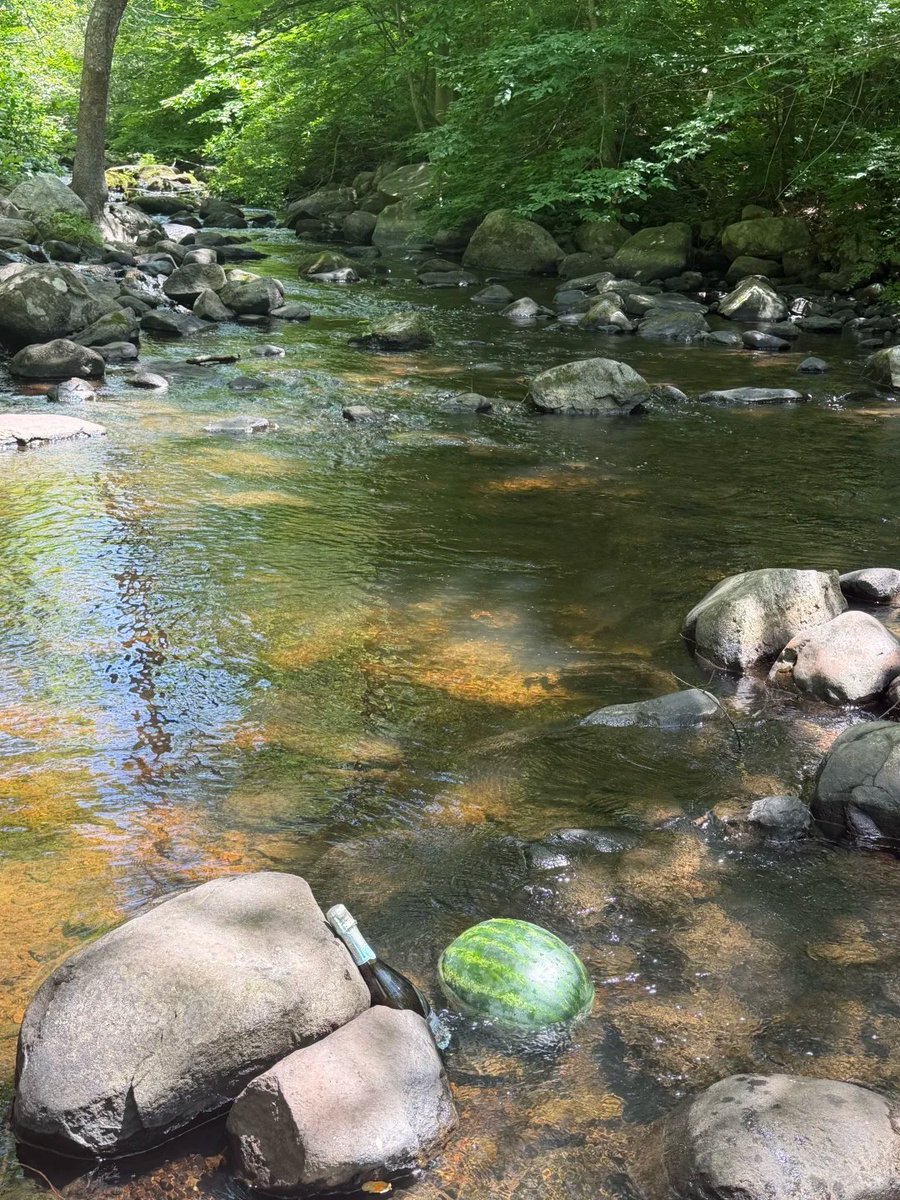 SachinMilly's tweet photo. I went for a barbecue with friends this afternoon. It was so refreshing to be by the stream on such a hot summer day. #Barbecue #Life https://t.co/1z9Gnt5jpd