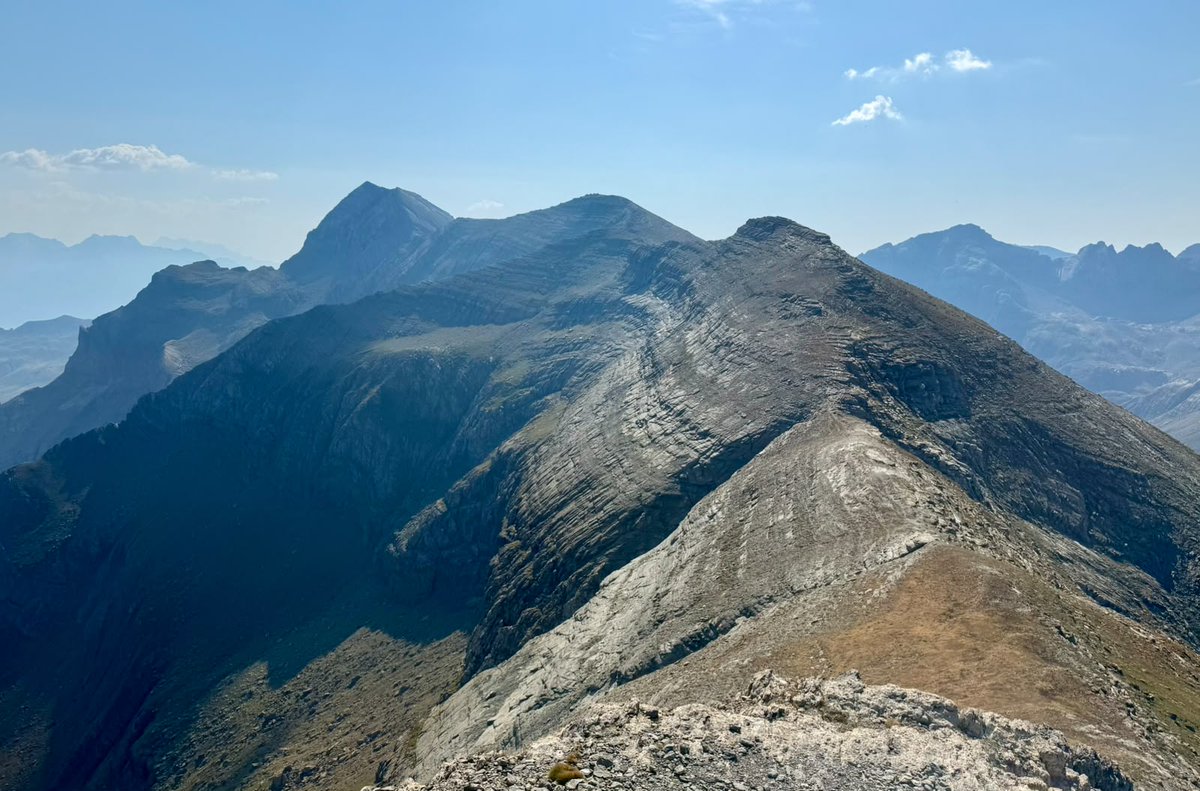 rforcano tweet picture