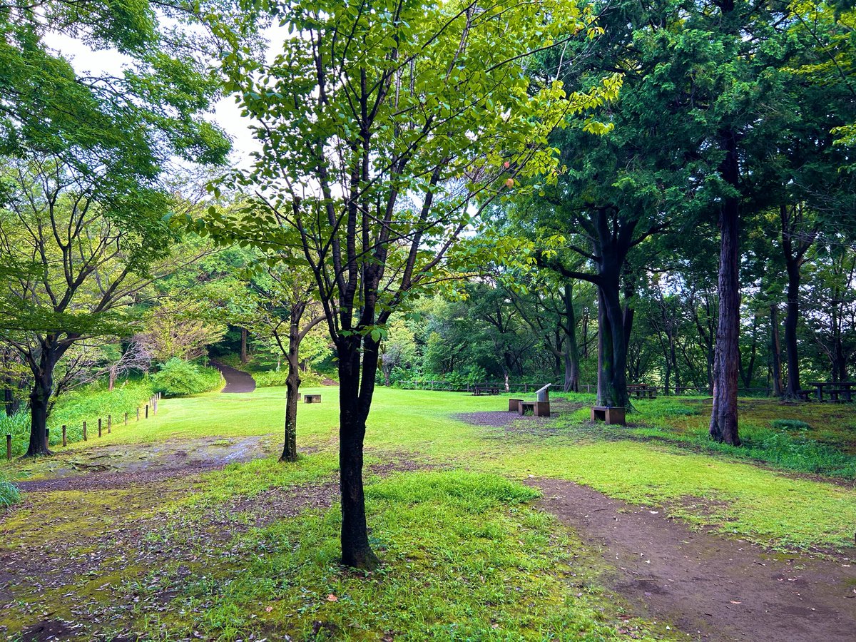 nobuo_u's tweet photo. 杉山神社の裏手の広場が素敵すぎて、ビビった…
かれこれ5-6年通ってんのに初めて知った…
あまりにも素敵だから今日ちょっと飲みに来ちゃおうかw

#ヨコハマフットボールを楽しもう https://t.co/Zhuz2xIbX9