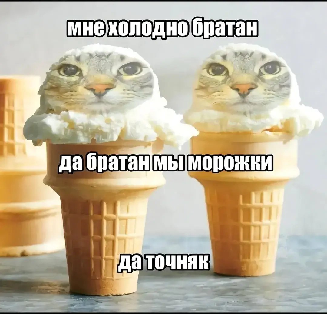 e4po4li_makli's tweet photo. https://t.co/vb3yvsTDDu