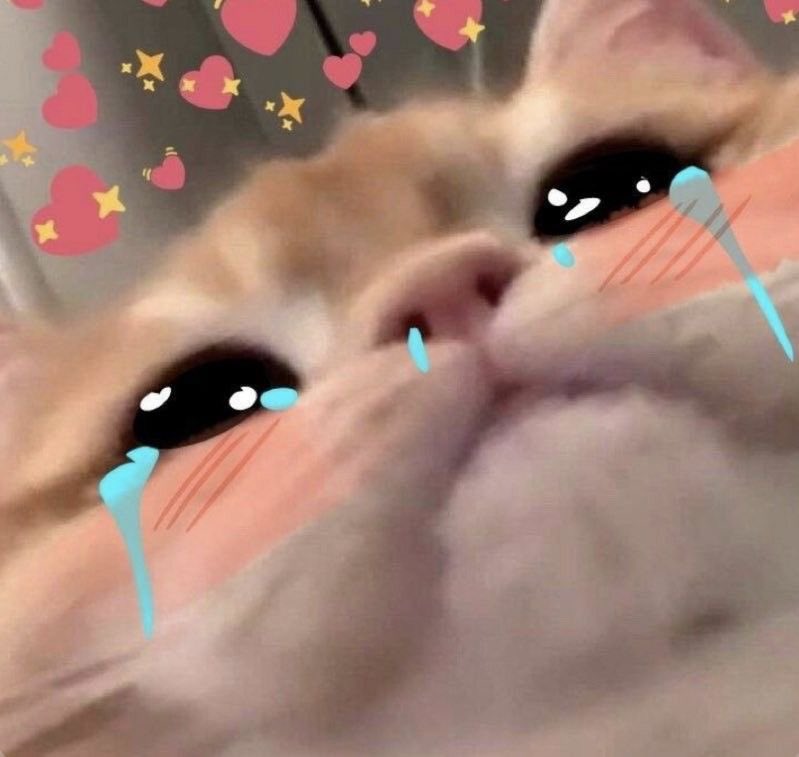 MikeWazowskii's tweet photo. Una profe me dijo el otro día “me encanta tu pelo, sos como una luz entras al salón y  todo se ilumina”

Automáticamente yo: https://t.co/qYRFtPMNhZ