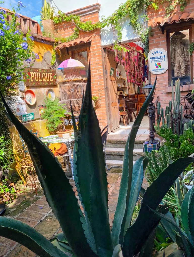 Fondamurales1's tweet photo. #pulque
#lagosdemoreno 
#pueblomagico https://t.co/D1G1uskiHp