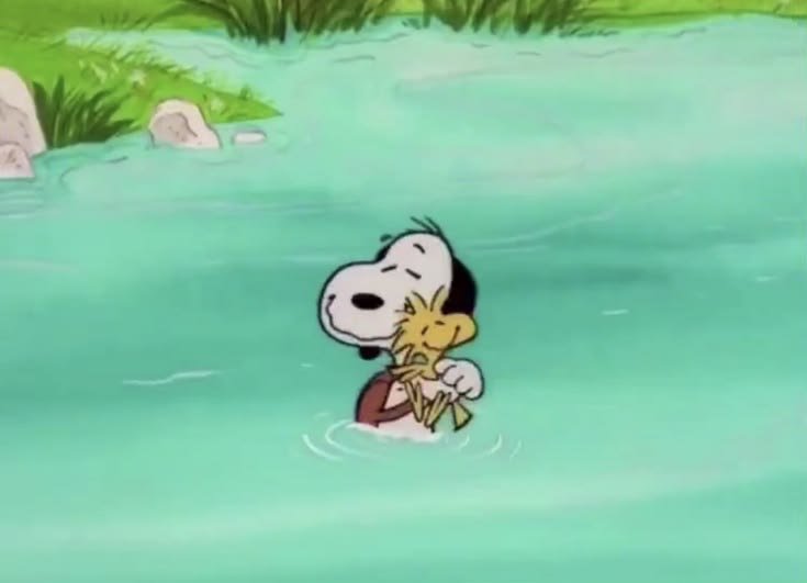 itssn00py's tweet photo. https://t.co/h2tKgZ5rrw