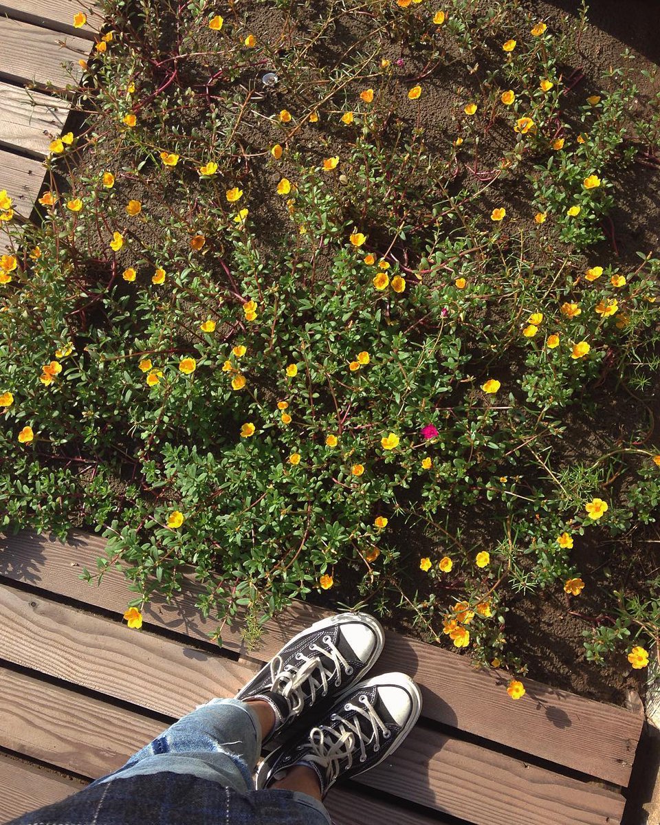 patagon76_'s tweet photo. 世界中に星はたくさんあるけど、僕の目には君しか映らないよ。たまにはこういうのも悪くない。 👇👀
rCoRQ https://t.co/Ts8SsUaLKH