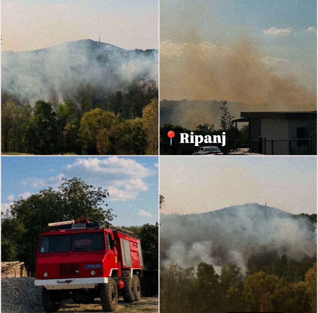 bodirogic45829's tweet photo. !!!!! ZLO !!!!! 

!!!! ČISTI SE TEREN NA AVALI GDE STRANE FIRME TREBAJU DA OTVORE RUDNIK !!!!! 

DRAGAN ĆAPIN, PREDSEDNIK VATROGASNOG SAVEZA SRBIJE JE POSTAVLJEN NA TO MESTO KAO ČOVEK SA SREDNJOM ŠKOLOM, BEZ IKAKVIH KVALIFIKACIJA DA BI PUSTIO DA IZGORI DOBAR DEO SRBIJE.

🔥 DOKLE SE ČEKA?

Požar koji je juče izbio u blizini železničke stanice Klenje i dalje nije lokalizovan. Vatra je zahvatila veliki deo četinarske šume, nalazi se u neposrednoj blizini prvih kuća i širi se prema Kragujevačkom putu.

I dok gledamo kako šuma gori, postavlja se jednostavno pitanje: zašto se čeka da situacija postane katastrofa da bi se reagovalo svim raspoloživim sredstvima?

Sinoć od dima nismo mogli da spavamo ni sa zatvorenim prozorima i vratima. 

Jutros — dim i pepeo. 

Danas popodne situacija jeste nešto bolja, ali požar nije nestao.

Gledali smo ovog leta šta vatra može da uradi u Deliblatskoj peščari i Hrvatskoj. Zar treba da čekamo slične slike i ovde?

Ako vatrogasna vozila ne mogu da priđu terenu, moraju postojati drugi načini, dodatne ekipe i sredstva za gašenje iz vazduha ako su uslovi za to ispunjeni.

Ovo više nije samo pitanje šume. Ovo je pitanje bezbednosti ljudi, njihovih kuća i zdravlja svih koji danima udišu dim.

Reagujte dok još ima šta da se sačuva.

(Slike preuzete sa stranice Moje Naselje Ripanj )