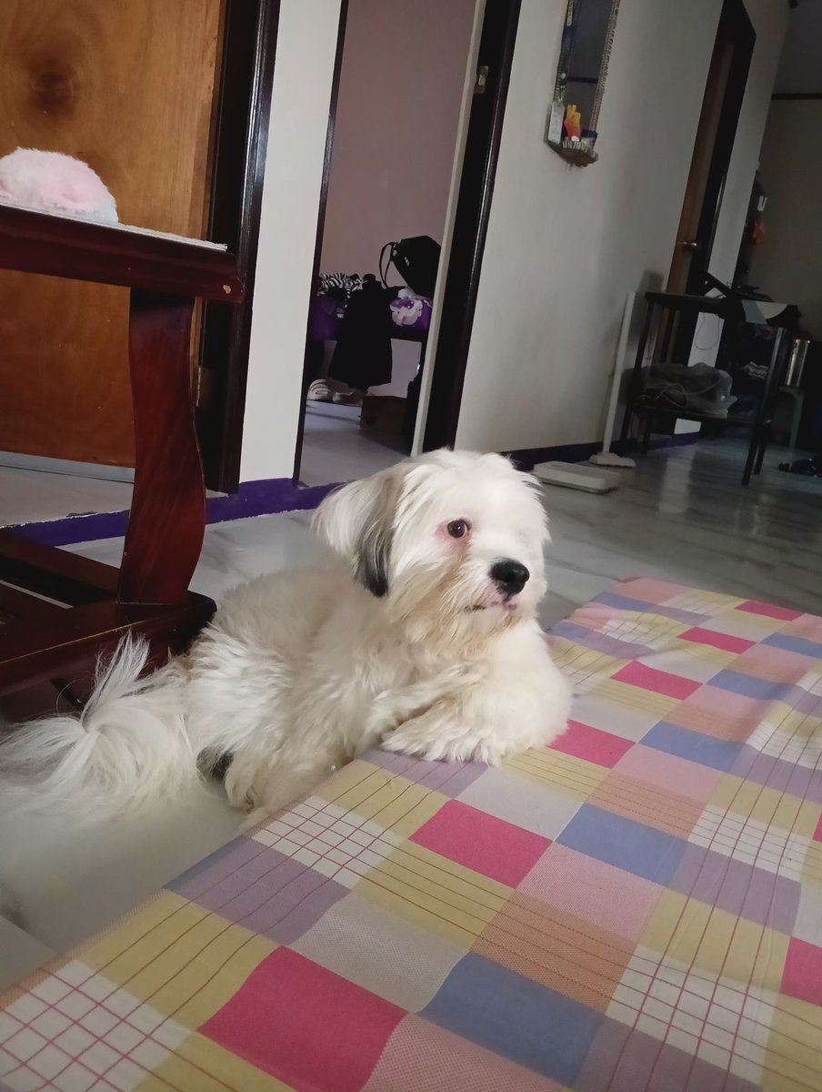 ItsMeeCarlah's tweet photo. parang tambay lang sa kanto 🤣 https://t.co/zAZwUZ9L6r