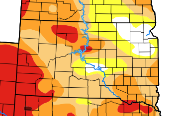 WheatInnovation's tweet photo. South Dakota is still dry, though rains in last few days is helpful but we need some more to recharge the sub soil moisture 🙏🌧️🤞 @SDState @wheatsd
👉Winter wheat planting starts in one month❤️🌾
and we still have week of harvest left for #TeamWheat. https://t.co/Vhkc0Y7vKd