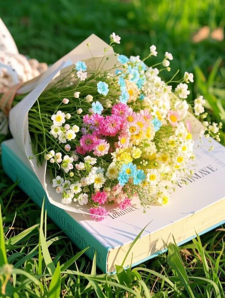 FLOWERS3700's tweet photo. https://t.co/wChVyIuKC9