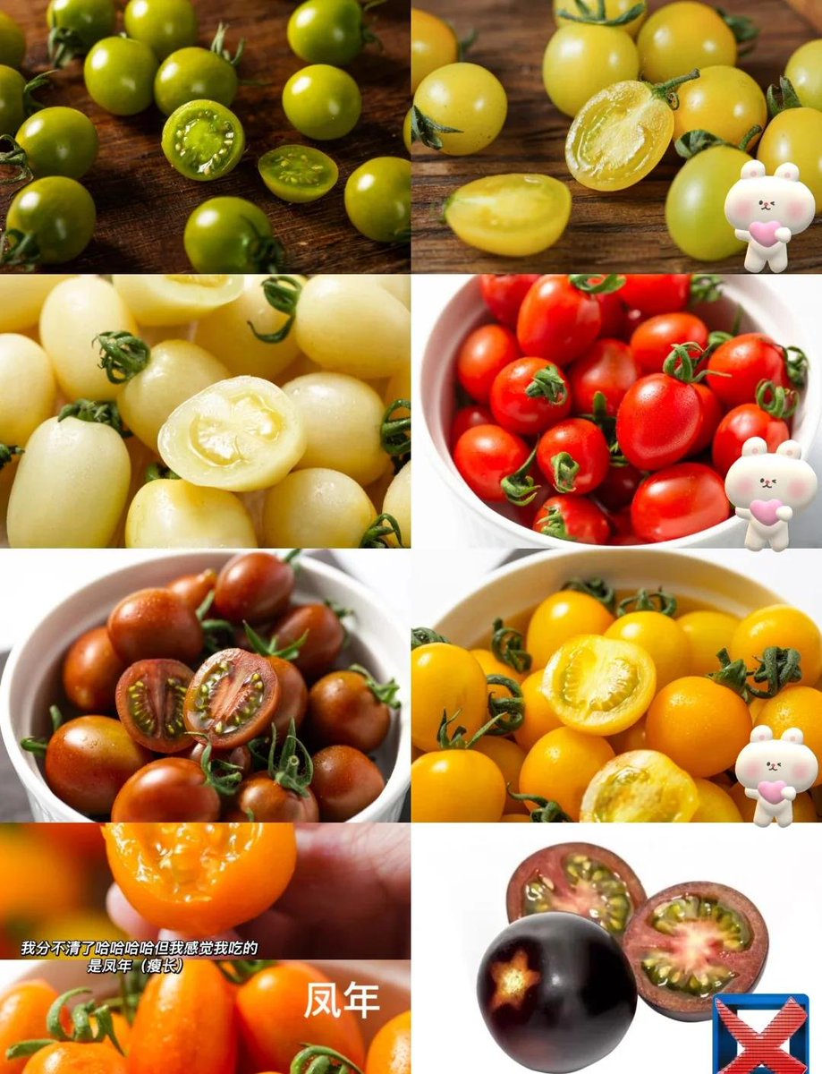 hkeyser00's tweet photo. Just tried the new organic rainbow cherry tomatoes! Juicy, sweet, and zero weird aftertaste—perfect for salad snacks. 10/10 would stock up again! https://t.co/1sJp7s5jCc