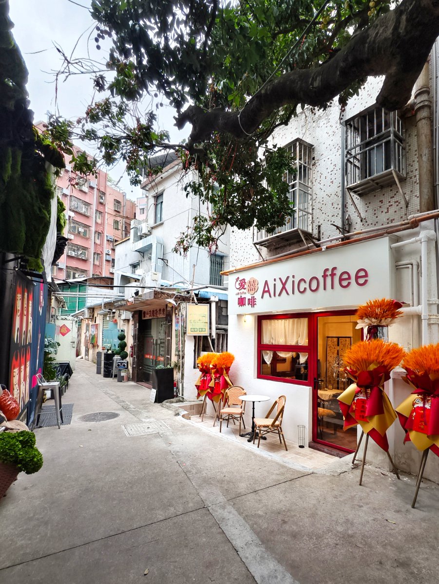LRK7763's tweet photo. Just spent the morning wandering through the coastal town’s winding alleys, sipping iced coffee from a tiny hole-in-the-wall, and catching a golden sunset paint the harbor pink. Pure magic  #TravelMemories https://t.co/lxaAkcEzLH