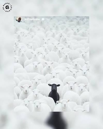 zlatanstuff's tweet photo. 4 ay sonra atacağı storyler https://t.co/0HKJ7RR5ym