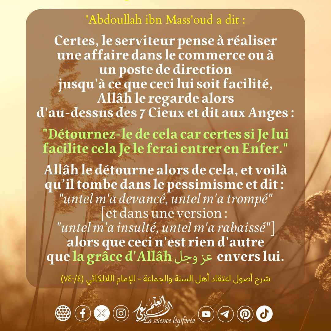 3ilmchar3i's tweet photo. 🌾 Détournez-le de cela... ! 

https://t.co/6iQc1Fl99M https://t.co/i04eB8Hdom