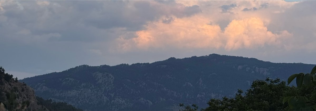 frommmerv's tweet photo. 2x zoom. https://t.co/waMnCtcsFp