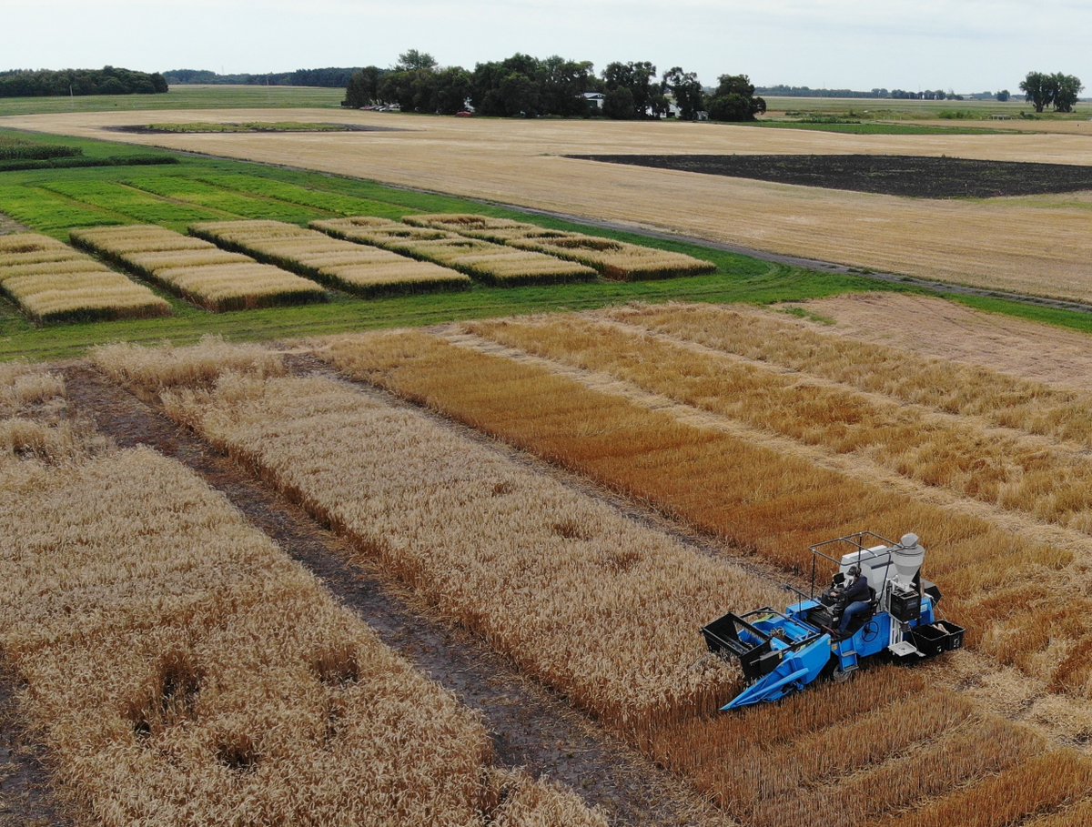 agquestresearch's tweet photo. Wishing everyone a safe and successful harvest! 
#harvest26 #researchyoucantrust https://t.co/MJuaYSfrBm