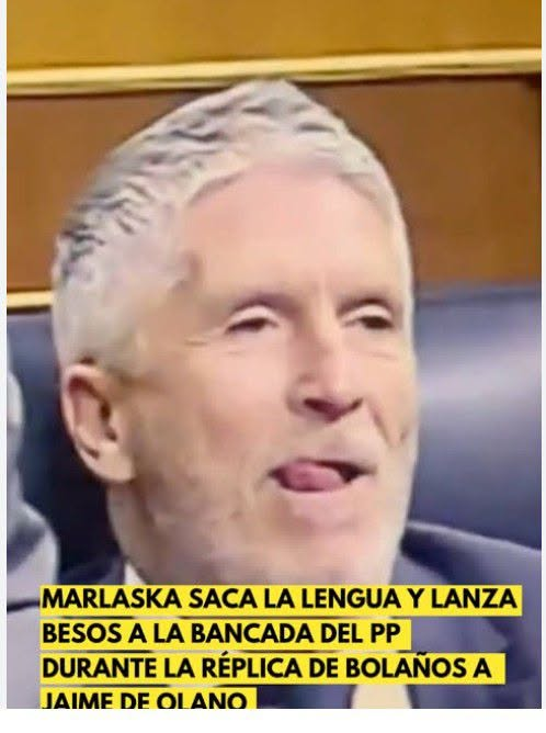 pepeluspain's tweet photo. Grande Marlaska El Pluma¡¡¡. Asco de personaje ¡¡ https://t.co/vwzHsrUVRH