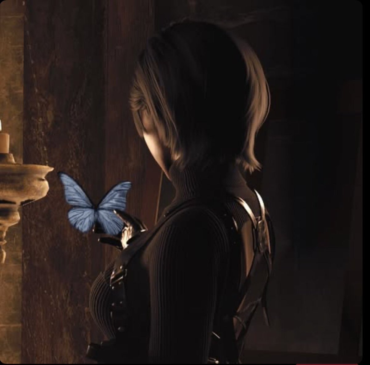 as_maa19's tweet photo. 🦋 https://t.co/sOyTS8FUBn