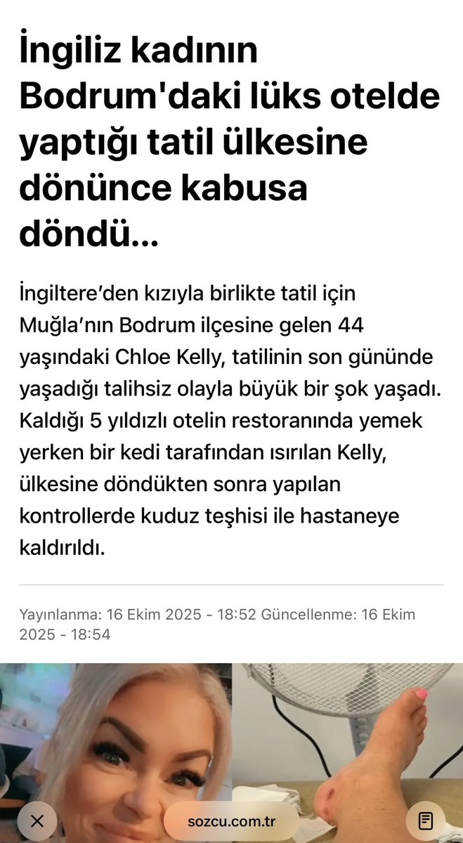 filizakgun35's tweet photo. 1 yıl arayla iki kuduz kedi olayı. 
Kuduz köpek vakaları da ayrı yaşandı. 
Daha geçen yıl İngiliz turistin kaldığı Bodrum’daki otelde uğradığı kedi saldırısında kuduz teşhisi konulduğu öne sürülürken, bugün benzer bir haber Diyarbakır’dan geldi. Kedinin ısırdığı çocukta kuduz teşhisi konuldu ve çocuk entübe edildi. 
Hatırlarsanız; Dünya Sağlık Örgüt, kuduz riski yüksek ülkeler arasında ilk sırada göstermişti. İngiltere, Almanya, Fransa vb ülkeler Türkiye’ye seyahat edecek vatandaşlarını kuduz riskine karşı da uyarmıştı. 
Kendi ülkelerinde başıboş sokak hayvanı bulunmayan Avrupa ülkeleri, her niye ise bizim ülkemizdeki bazı hayvan derneklerine  ziyaretlerde bulunup fon desteğiyle başıboş hayvan popülasyonunun artmasına destek verdiler. Hain akraba misali! 
Gelinen noktada ahvalimiz tam olarak budur.