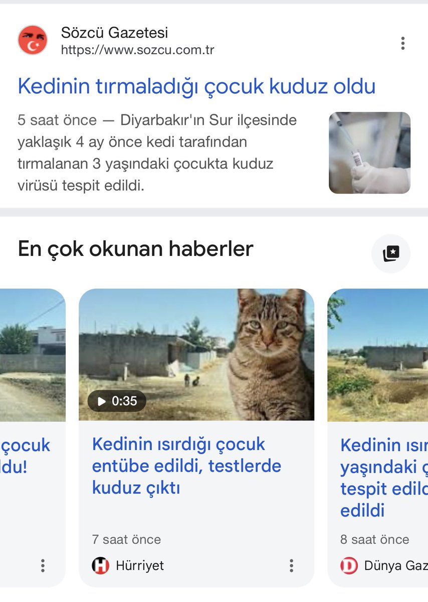 filizakgun35's tweet photo. 1 yıl arayla iki kuduz kedi olayı. 
Kuduz köpek vakaları da ayrı yaşandı. 
Daha geçen yıl İngiliz turistin kaldığı Bodrum’daki otelde uğradığı kedi saldırısında kuduz teşhisi konulduğu öne sürülürken, bugün benzer bir haber Diyarbakır’dan geldi. Kedinin ısırdığı çocukta kuduz teşhisi konuldu ve çocuk entübe edildi. 
Hatırlarsanız; Dünya Sağlık Örgüt, kuduz riski yüksek ülkeler arasında ilk sırada göstermişti. İngiltere, Almanya, Fransa vb ülkeler Türkiye’ye seyahat edecek vatandaşlarını kuduz riskine karşı da uyarmıştı. 
Kendi ülkelerinde başıboş sokak hayvanı bulunmayan Avrupa ülkeleri, her niye ise bizim ülkemizdeki bazı hayvan derneklerine  ziyaretlerde bulunup fon desteğiyle başıboş hayvan popülasyonunun artmasına destek verdiler. Hain akraba misali! 
Gelinen noktada ahvalimiz tam olarak budur.
