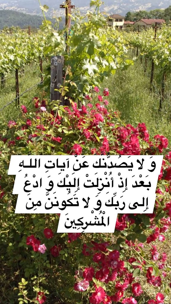 h92f56's tweet photo. بسم الله الرحمن الرحيم
(قُلْ أَ رَأَيْتُمْ إِنْ جَعَلَ اللَّـهُ عَلَيْكُمُ النَّهارَ سَرْمَداً إِلى يَوْمِ الْقِيامَةِ مَنْ إِلهٌ غَيْرُ اللَّـهِ يَأْتِيكُمْ بِلَيْلٍ تَسْكُنُونَ فِيهِ أَ فَلا تُبْصِرُونَ)
صدق الله العلي العظيم https://t.co/JKDXzaVI6m